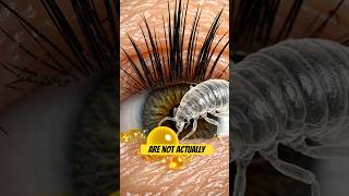 The Secret Creatures Living On Your Eyelashes!