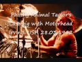 Motörhead - Ace Of Spades (Philthy Animal Taylor&#39;s Last gig) Live 1992