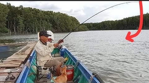 Một Mình Ra Sông Thị Vải Câu Cá Đù Nghệ và Cá Úc | Đam mê câu cá