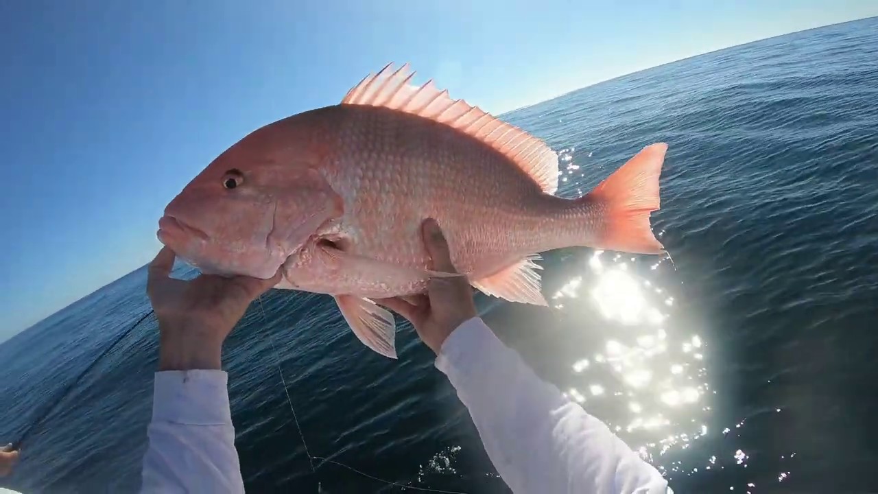 Deep Sea Fishing Jacksonville Casey YouTube