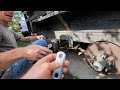 Dump Trailer Maintenance | Shackles and Bushings are DESTROYED