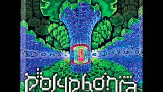 Polyphonia - Mind Explorer