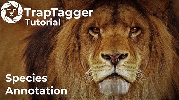 TrapTagger: Species Annotation