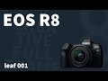 CANON EOS R8　leaf-001