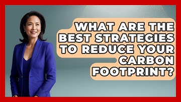 What Are The Best Strategies To Reduce Your Carbon Footprint? - Explaining Ecology