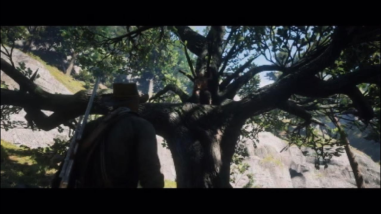 Red Dead 2 Tree Hermit - YouTube