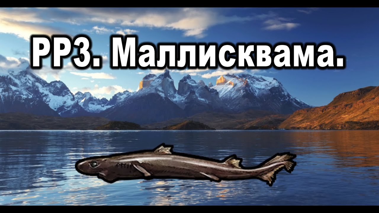 Рр3 волга белуга