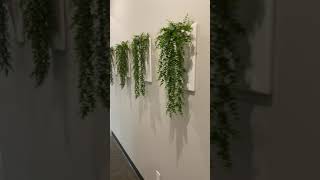 Sinick Family Dental | New Office Walkthrough!