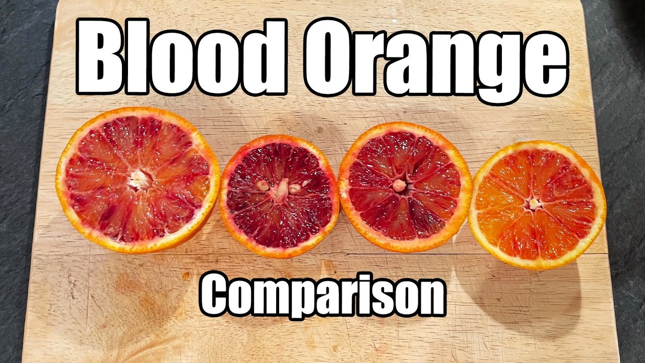 Blood Orange Taste Comparison Sanguinelli Moro Ippolito  Tarocco Rosso