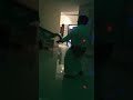 بارتي حريقه