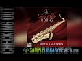 Checking Out: Chris Hein Horns Solo & Sessions