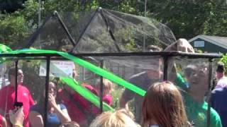 Sickles Market - Annual Peaches Butterfly Event