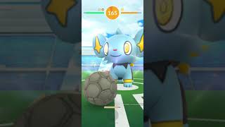 Pokémon Go 2018 11 17 Shinx Raid - Perfect Iv Encounter