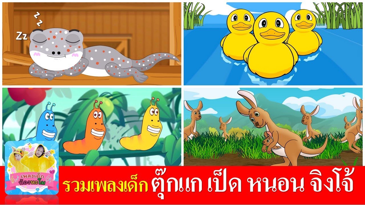 รวมเพลงเด็ก ตุ๊กแก เป็ดอาบน้ำในคลอง หนอนผีเสื้อ จิงโจ้