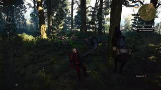 The Witcher 3 Funny Glitch Roach and Geralt