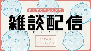 まんまるﾊﾑｽの雑談配信🍵0322┆ﾊﾑｽﾀｰのきなこ