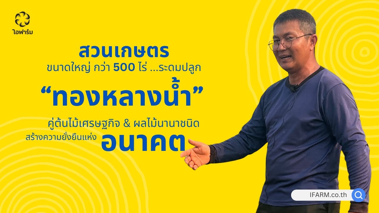 🔴 สวนเกษตรขนาดกว่า 500 ไร่ ระดมปลูกต้นทองหลางน้ำคู่กับไม้ป่า ไม้เศรษฐกิจ ทุเรียน และผลไม้นานาชนิด