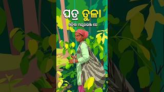 Kendu patta tod ne କେନ୍ଦୁ ପତ୍ର Odisha Mayurbhanj #嗡嗡嗡