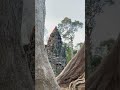 Victory Gate greatest vision