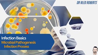 Microbial Pathogenesis, Infection Process