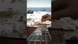 sitar guitar musicalinstrument music sitarguitar viralmusic piano viralsong viralvideo