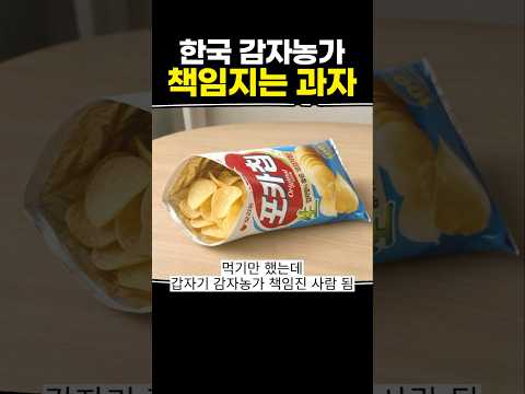 <strong>한국</strong> 감자농가 <strong>책임지는</strong> 과자