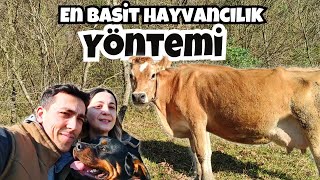 Mera Hayvancılığı Kârlı Mı ?