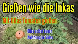 Gießen wie die Inkas - Mit Ollas Tomaten gießen auch ideal für die Gartenbewässerung im Urlaub