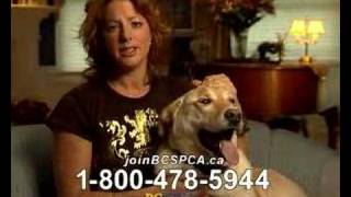 ⁣Sarah McLachlan Animal Cruelty Video