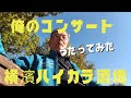 【横濱ハイカラ酒場】半田浩二、この小気よいリズムと歌唱、最高!