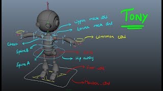 Tony Robot Rig