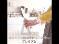 プロモデル折立ナピュアミラープレミアム