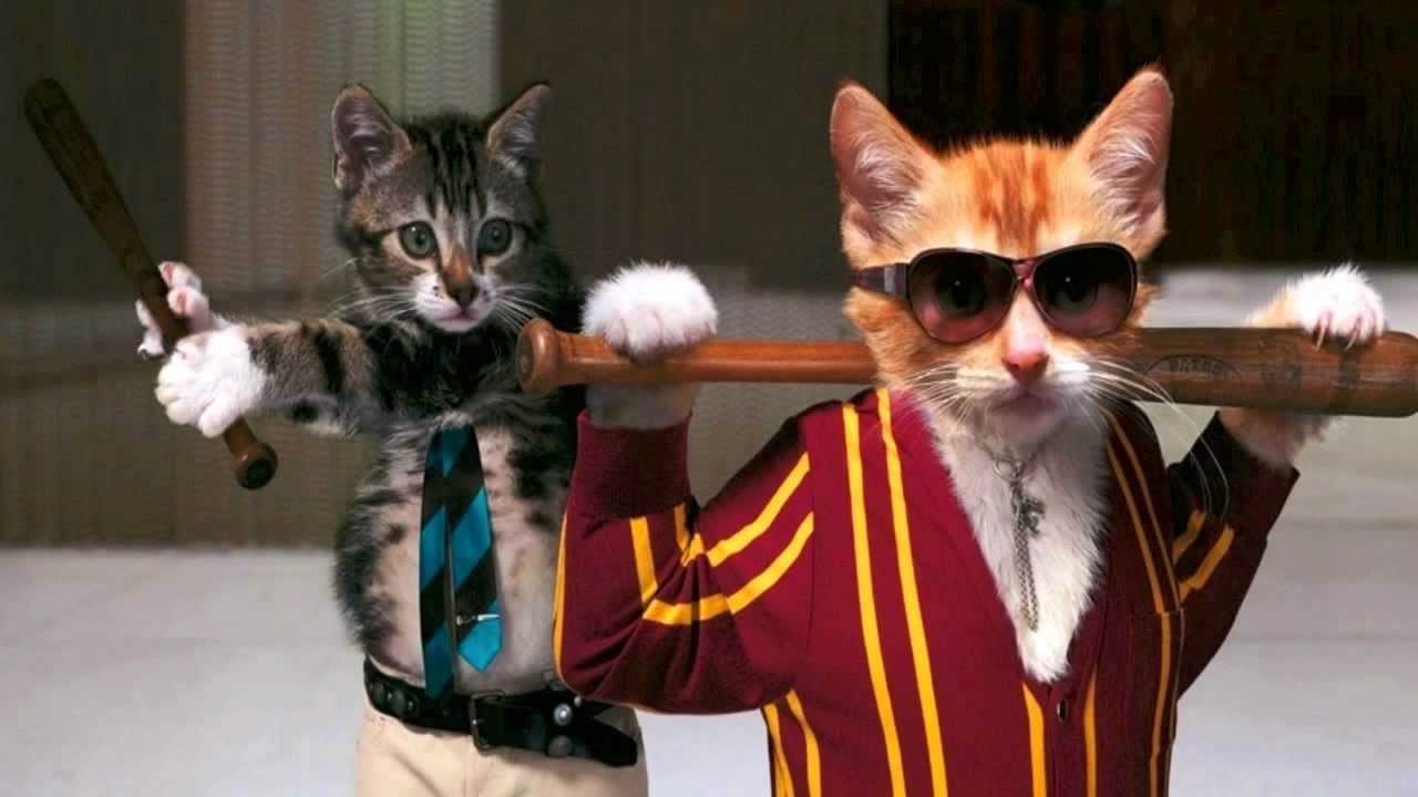 Boris Brejcha - That's The Funky Shit [Original Mix] - YouTube