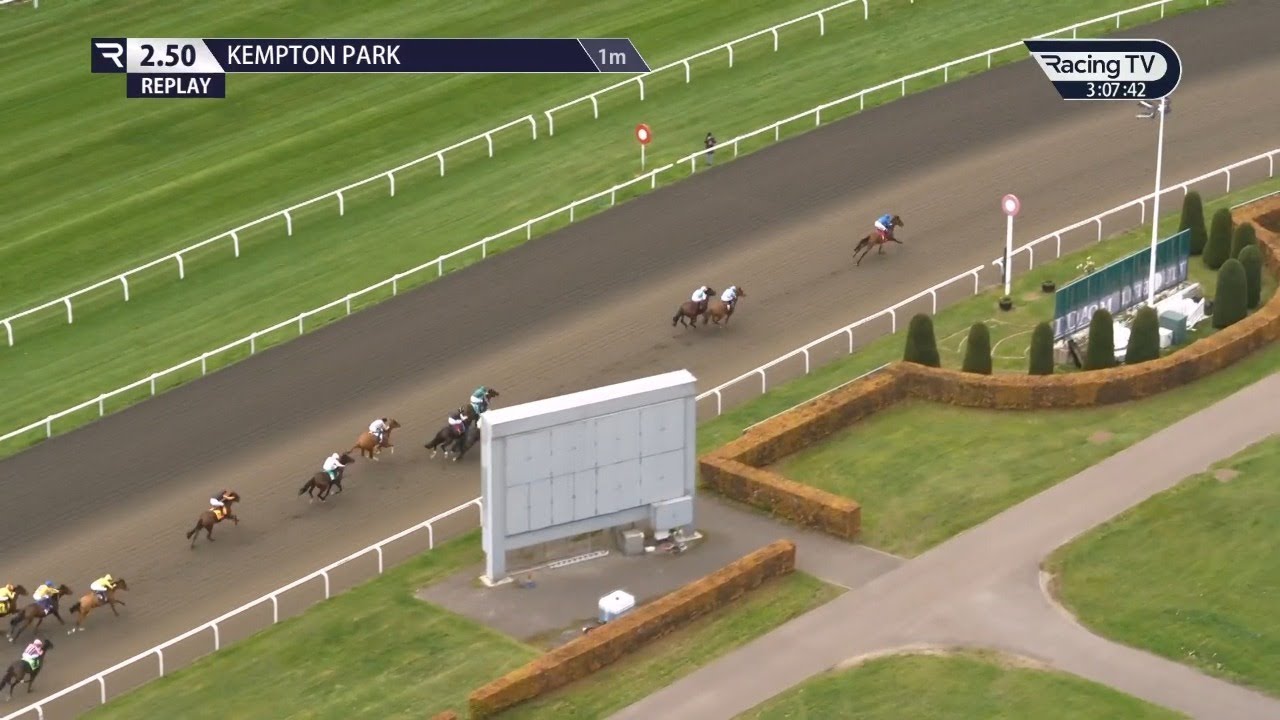 Frankel filly Abashiri dazzles on debut | Racing TV