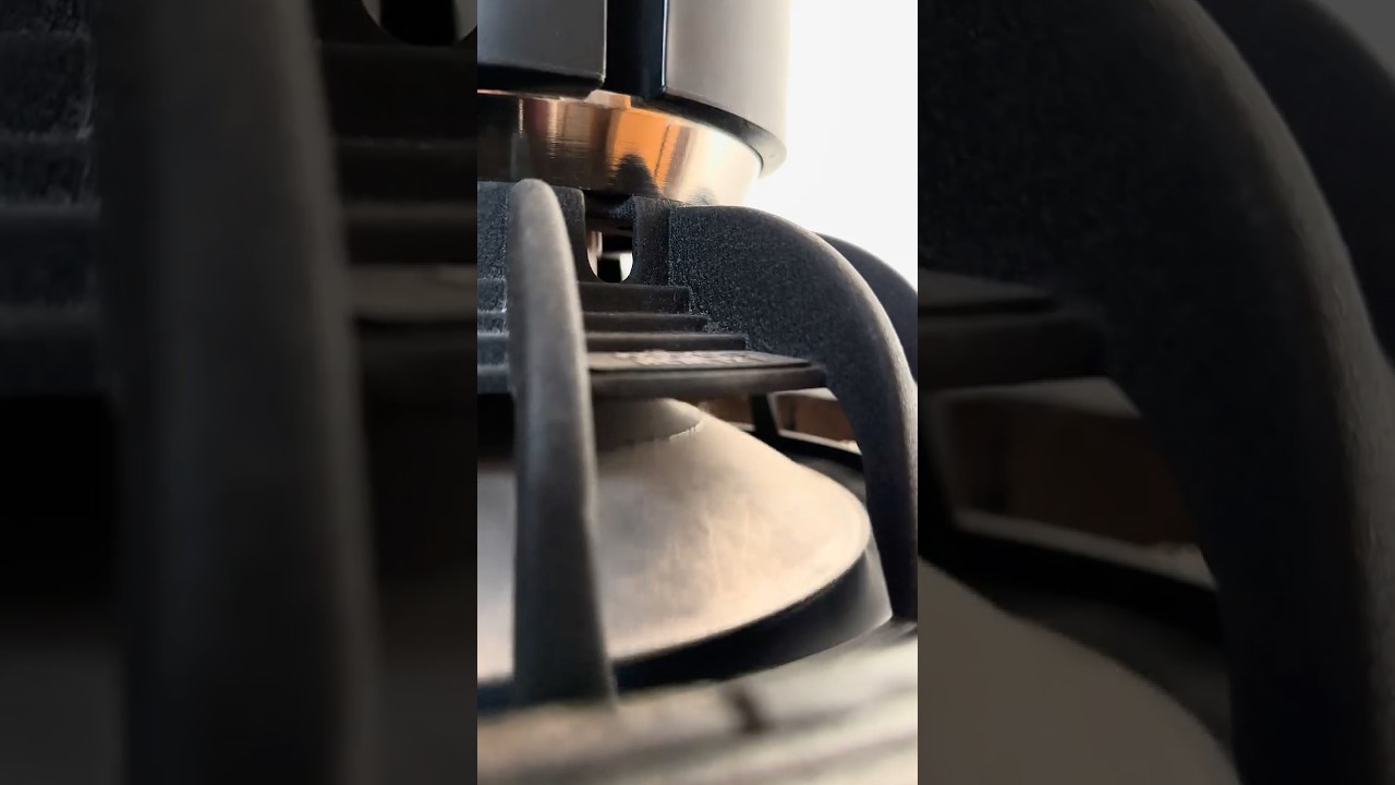 deep organ bass @AnnaLapwoodOrgan