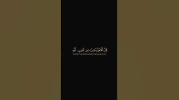 سورة الانبياء الايات ٦٦-٧٠ #ياسر_الدوسري #اكسبلور #لايك #فالو #قران_كريم #قرآن #تلاوة_خاشعة #ترند