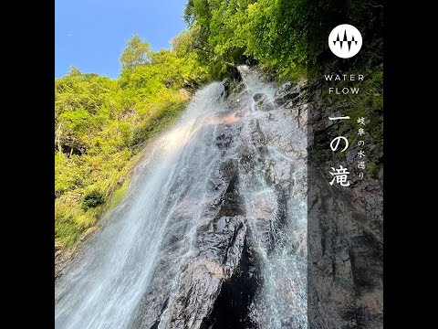 Functional Sound™ 公式 - YouTube