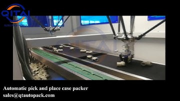 Automatic Delta robot pick and place case packer machine for LESSOR/carton erector/case erector