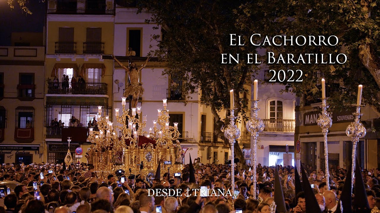 [4K] EL CACHORRO EN EL BARATILLO | 2022 |