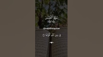 سورة النصر تلاوة رائعة