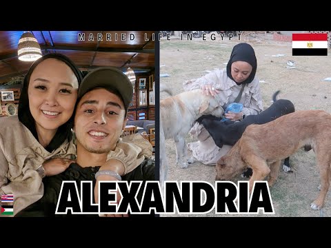 date night with my Palestinian husband 🇪🇬 Movie & dinner as a local. Alexandria Egypt