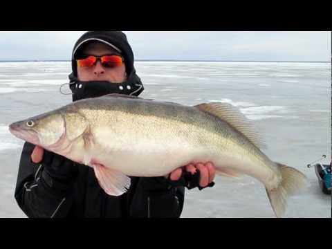 Как приготовить окунь у торговца