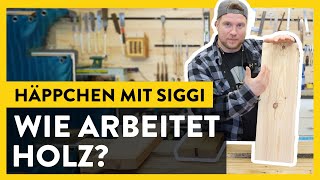 Warum arbeitet Holz ? Wie arbeitet Holz ? - Wissenshäppchen mit Siggi 💥