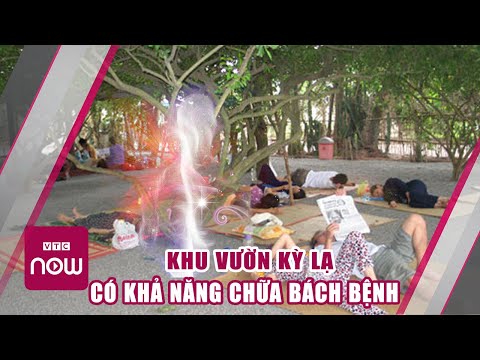 Chuyện lạ kỳ thú khu vườn có khả năng chữa bách bệnh | Khó tin nhưng có thật Cuộc sống 24h nhà nông