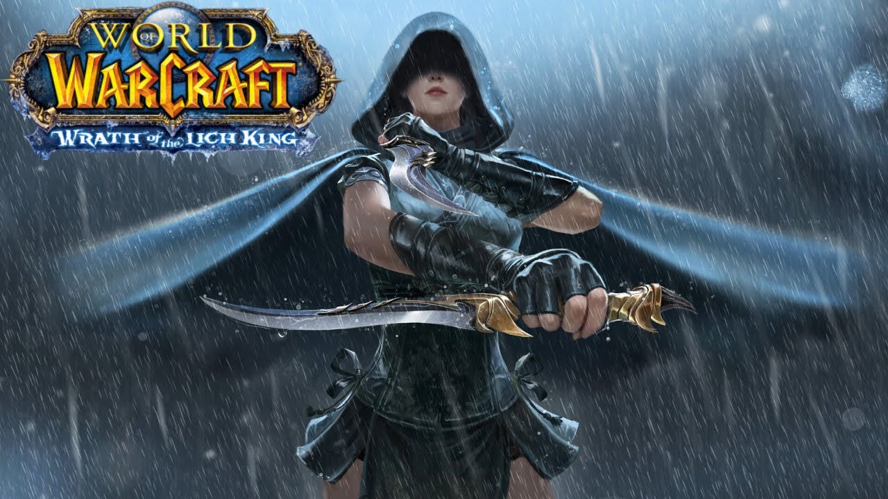 Top DPS Assassination Rogue (99.9 parse) / 16 World DPS Wrath of the Lich King Classic YouTube