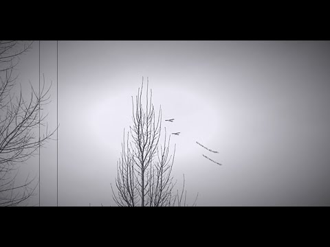 Nani Latu \u0026 Rafa - lagu santai ( Lyrics )