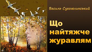 Що найтяжче журавлям Василь Сухомлинський 3 клас оповідання українською