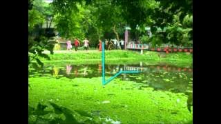 Download lagu maximus