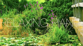 Relaxing Piano Music 🍀 Soft Piano Music 🍀 Piano Music For Stress Relief 🍀 Meditation Piano Music