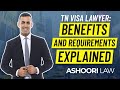 TN VISA LAWYER: BENEFITS AND REQUIREMENTS EXPLAINED